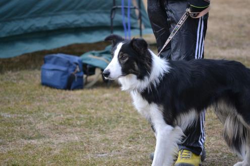 DSC_0364.jpg