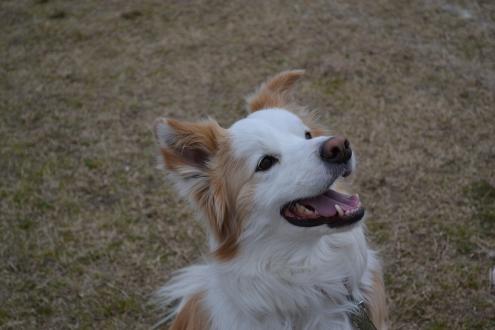 DSC_0381.jpg