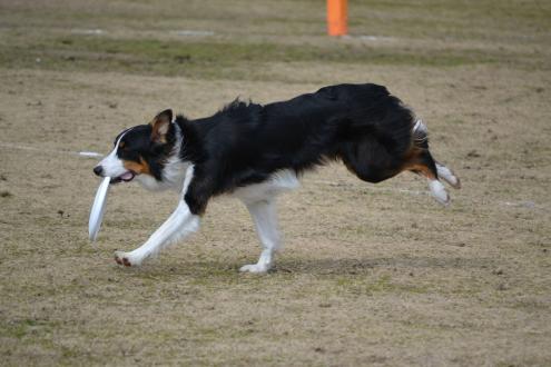 DSC_0584.jpg