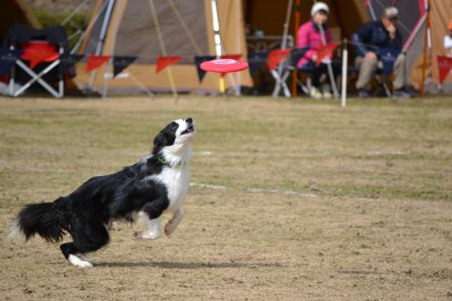 DSC_0590.jpg