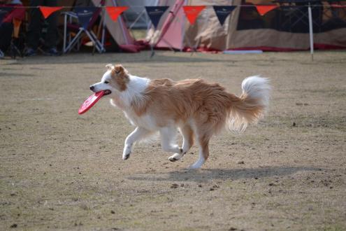 DSC_0617.jpg