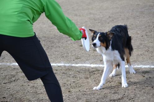 DSC_0619.jpg