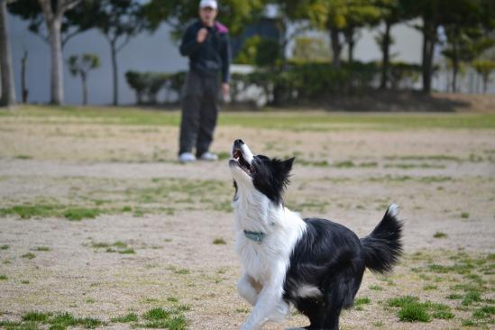 DSC_0714.jpg