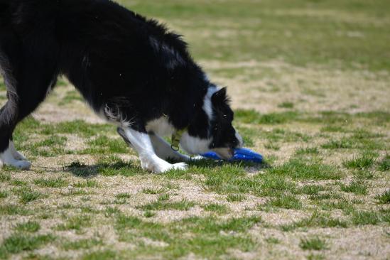 DSC_0738.jpg