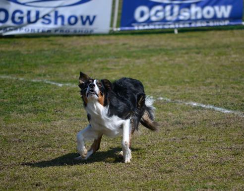 DSC_0777.jpg