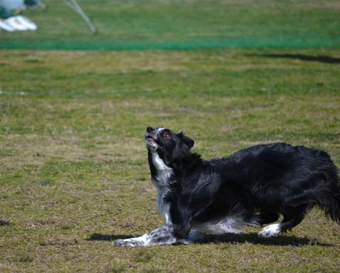DSC_0786.jpg