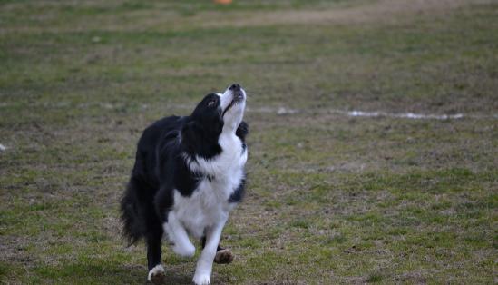 DSC_0814.jpg
