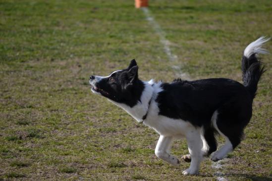 DSC_0895.jpg