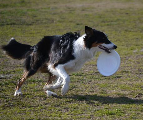 DSC_0913.jpg