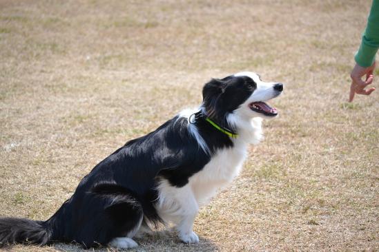 DSC_0938.jpg