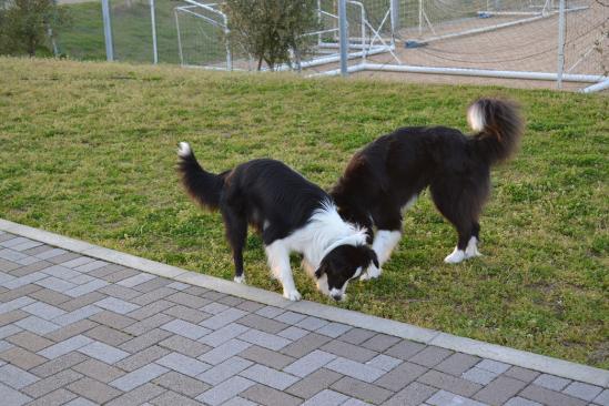 DSC_0958.jpg