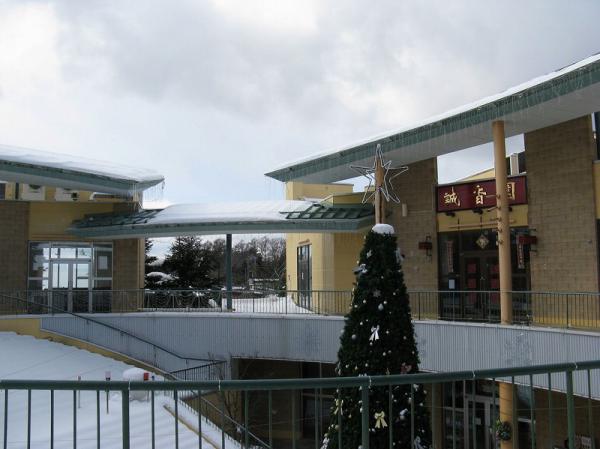 areyasoreyakoreyaup533924.jpg
