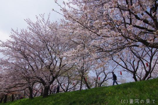 IMGP0001_20130406114713.jpg