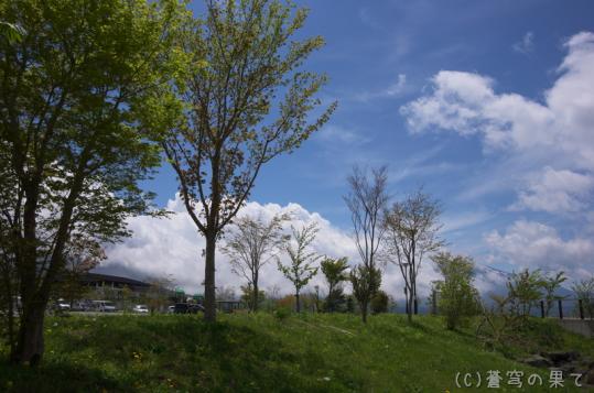 IMGP0013-1_20130512183700.jpg