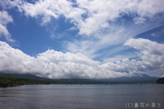 IMGP0031-1.jpg