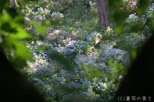 IMGP0051_20130616130539.jpg
