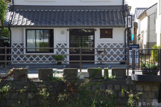 IMGP2253.jpg