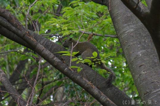 Image00001_20130630185227.jpg