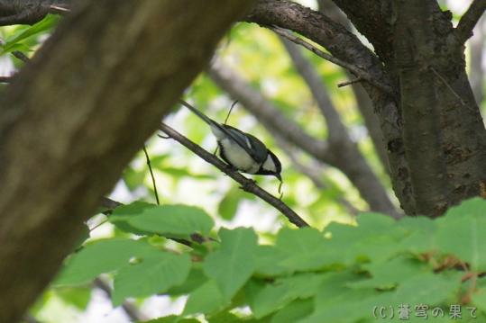 Image00002_20130630185229.jpg