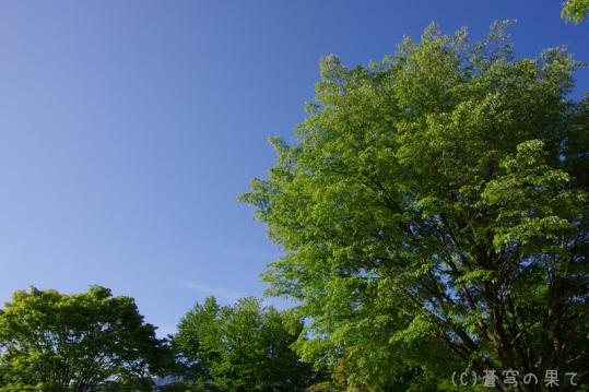 Image00004_20130506232354.jpg