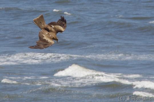 Image00005_20130707182254.jpg
