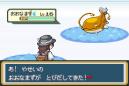 inサファリ