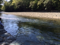 写真 1 (2)