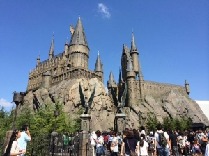 2014USJ 245
