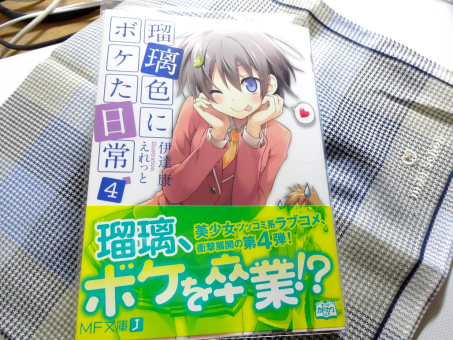 瑠璃色にボケた日常4 DSC00149