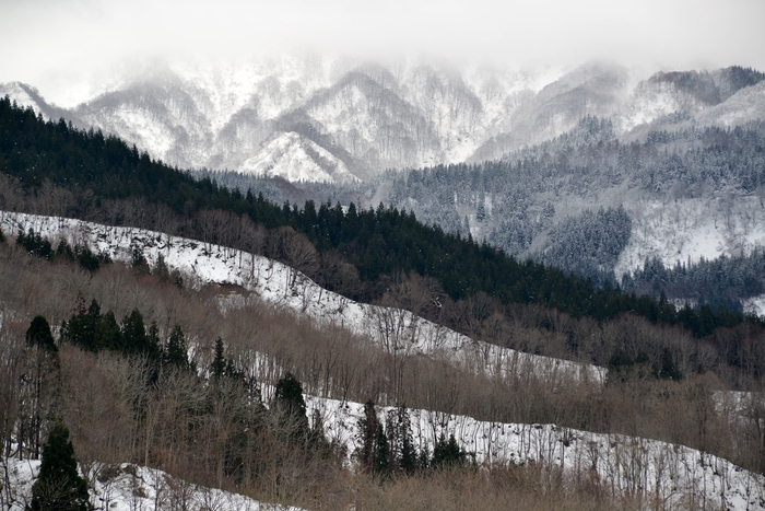 雪山-3