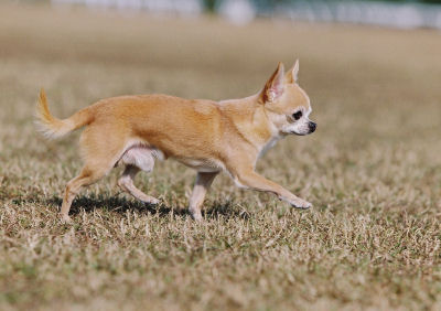 arurun2_20120419232341.jpg