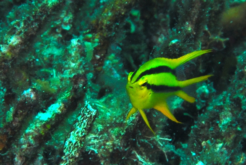 20140210_0402.jpg
