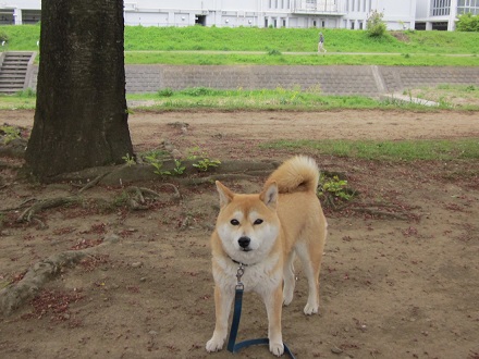 20134中1
