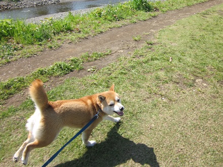 2013みどり2
