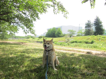 20136初2