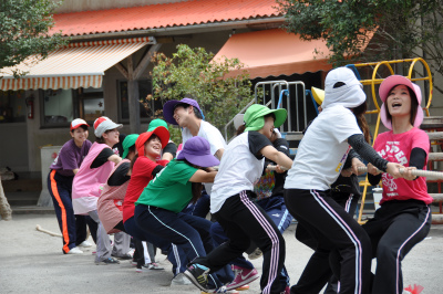 sDSC_0047 (2)
