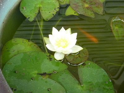 20140917003.jpg