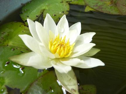 20140921001.jpg