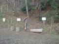 DSC00063.jpg