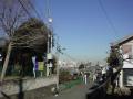 DSC00106.jpg