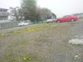 DSC00114.jpg