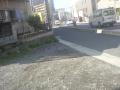DSC00140.jpg