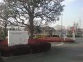 DSC00151.jpg