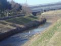 DSC00176_20120422090749.jpg
