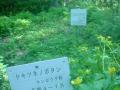 DSC00182.jpg