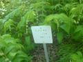DSC00183.jpg