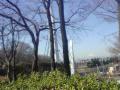 DSC00186.jpg