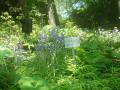DSC00188_20120506080137.jpg
