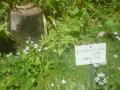 DSC00189_20120506080104.jpg