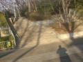 DSC00198.jpg
